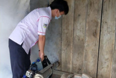 Diskes Mesuji Lakukan Fogging Pasca Temuan 6 Kasus DBD