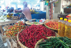 Angka Inflasi Bandarlampung Saingi Nasional