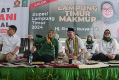 Iyay Mirza Beri Sinyal Koalisi PDIP di Pilgub, PKB Lampung Siap Dukung Penuh