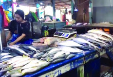 Nelayan Tak Melaut, Harga Ikan Melonjak