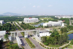SNBP 2025 Itera, Prodi Farmasi Paling Diminati