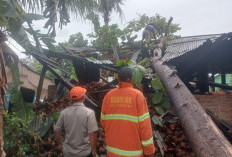 Cuaca Ekstrem dan Banjir Rob Ancam Lampung, BMKG Imbau Warga Pesisir Waspada