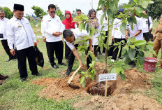 MAN IC Lamtim Buka SNPSB Sekaligus Launching Penanaman Pohon dan Buah