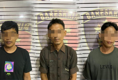 Polres Pringsewu Gulung Bandar dan Pemasang Togel