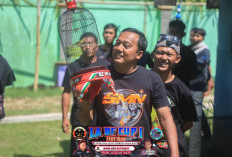 Sekolah Burung Murai Raup Puluhan Juta Rupiah Per Bulan