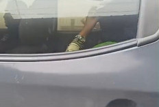 Viral Dua Oknum Staf Kelurahan Tanjung Harapan Diduga Curi Ponsel