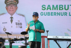  Sektor Perhubungan Penting Dukung Pembangunan 