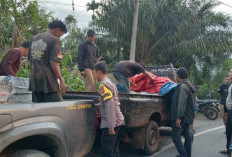 Polres Tanggamus Tangkap 5 Pelaku Pencuri Baterai PLTS, Tiga Pelaku Lain Kabur