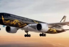 Indonesia Airlines, Maskapai Baru asal Singapura
