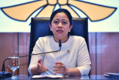 Puan Minta Pemerintah Jamin Keselamatan WNI yang Terdampak Konflik India- Pakistan