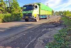 Ancam Nyawa, ODOL Dibiarkan Beraksi
