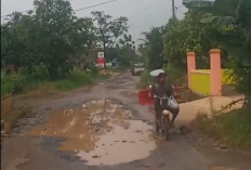 Jalan Simpang Neki Rusak Parah Warga Tagih Janji Pemkab Waykanan 