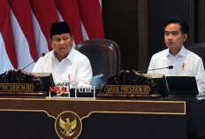 Prabowo Target Tahun 2025 Indonesia Tak Impor Beras 