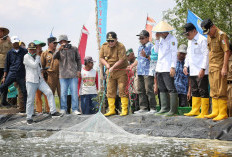 Panen Udang Di Tulang Bawang, Gubernur Arinal Dorong Pertambakan Udang di Lampung  Bangkit dan Berjaya Kembali
