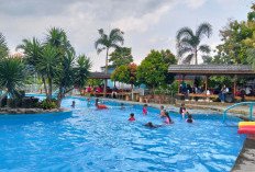 Jati Agro Usung Konsep Outing Class: Edukasi, Rekreasi, dan Seru-seruan