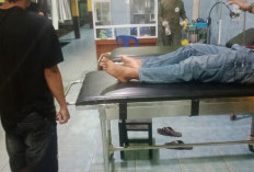 Tabrak Buaya di Tengah Jalan, Kaki Warga Mesuji Digigit Buaya
