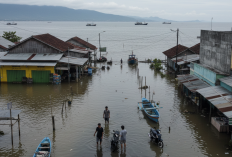 BMKG: Pesisir Lampung Berpotensi Dilanda Banjir Rob 21–24 November 2025