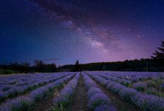 Milky Way, Pemandangan Langit Memukau di Malam Nyepi 