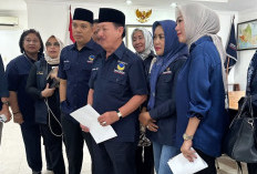 Nasdem Lampung Rombak Kepengurusan Periode 2024-2029, Ini Daftarnya