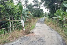 Jalan dan Jembatan Rusak di Lamsel Telan Korban 