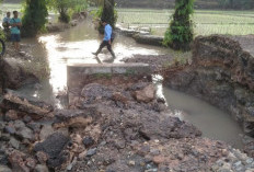 Hujan Deras Akibatkan Gorong-gorong di Kampung Tanjungdalom Amblas, Akses Jalan Putus 