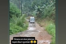 Wapres Gibran Pantau Jalan Rusak di Lampung