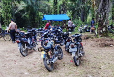 Penyabung Ayam Tinggalkan 11 Motor 