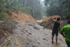 Kawasan TNBBS Kembali Longsor, Alat Berat Standby di Lokasi