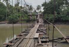 Jembatan Gantung Way Nukak Mengkhawatirkan 