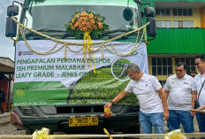 Tembus Pasar Global, PTPN I Ekspor Perdana Teh Premium Malabar ke Taiwan 