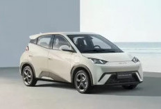 Delapan Mobil Listrik Baterai Ganda Terbaik 2025