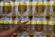  Tekan Harga MinyaKita, Kemendag Kaji Pola Distribusi 