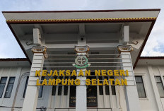 Dipanggil Kejari Lamsel, Saksi Kasus Dugaan Korupsi Bulog Lamsel Mangkir dari Pemeriksaan 