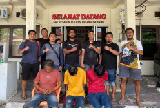  Kawanan Pelaku Curi HP saat Pemilik Rumah Tertidur 