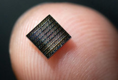  Neuron Buatan Mampu Meniru Otak Manusia