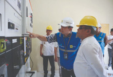 PLN Resmikan Tambah Daya PT Great Giant Food