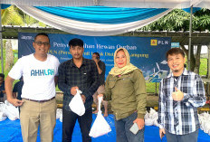PLN Salurkan 790 Paket Daging Kurban di Lampung