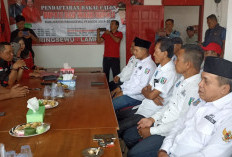 Tak Puas Jadi Kades, Ketua Apdesi Pringsewu Lampung Daftar Balon Bupati