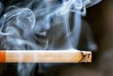 Asap Rokok Bisa Picu Stunting, Dokter Imbau Ibu Hamil Hindari Paparan