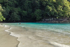 Pantai Teluk Hantu, Hidden Gems yang Eksotis di Pesawaran