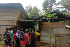 Geger, Warga Metro Ditemukan Tewas Tergantung di Pekon Rawas, Pesisir Barat 