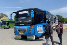 Hadapi Lonjakan Penumpang, Terminal Rajabasa Siapkan 75 Bus AKDP 