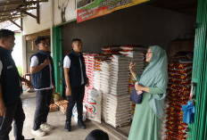 Satgas Pangan Tuba Cek Bapokting, Pastikan Ketersediaan Aman