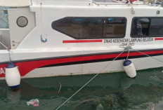 Penyediaan Ambulans Laut oleh Dinas Kesehatan di Pulau Sebesi dapat Dukungan Bupati Egi