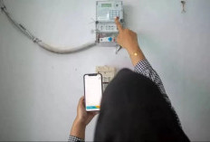  Tarif Listrik PLN Juli–September 2025 Tidak Naik