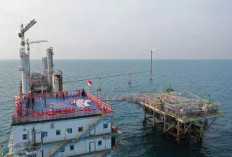  Harga Minyak Turun Lagi 1,2 Persen