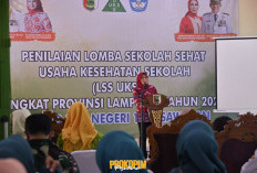 LSS-UKS M, 4 Sekolah di Pesawaran Dinilai