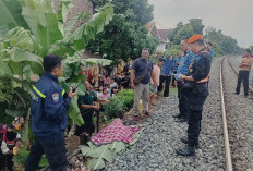Diduga Hendak Beli Sayur, Lansia di Bandar Lampung Ketabrak Kereta Api