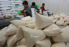  Pemerintah Kejar Target Swasembada Gula hingga 2027