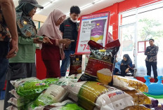  Disdag Metro Kirim Sampel Beras Terindikasi Oplosan 